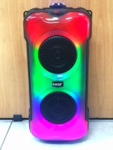 Parlante Portatil Luz Led Bluetooth 284-D Karaoke Microfono Aux 